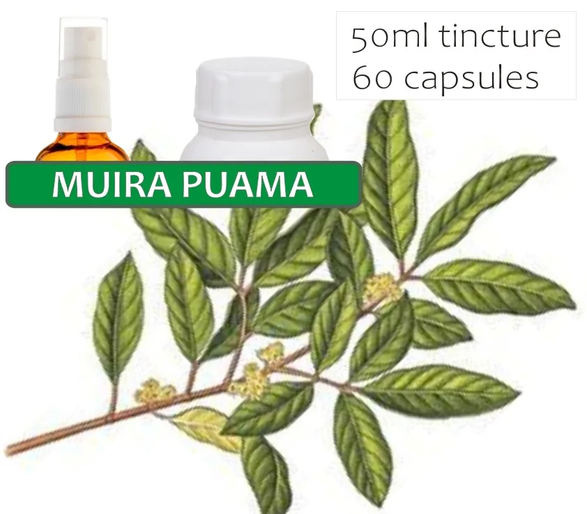 Muira Puama 60 capsules or 50ml tincture — info graphic 1