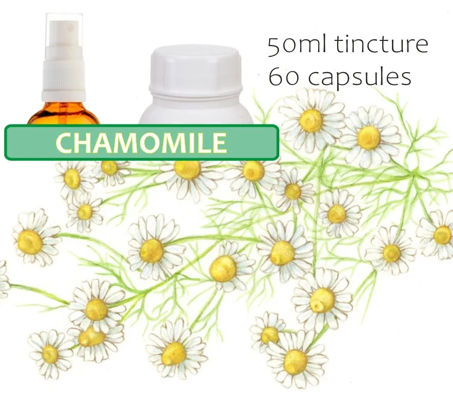 Chamomile (flowers) 60 capsules or 50ml tincture — info graphic 1
