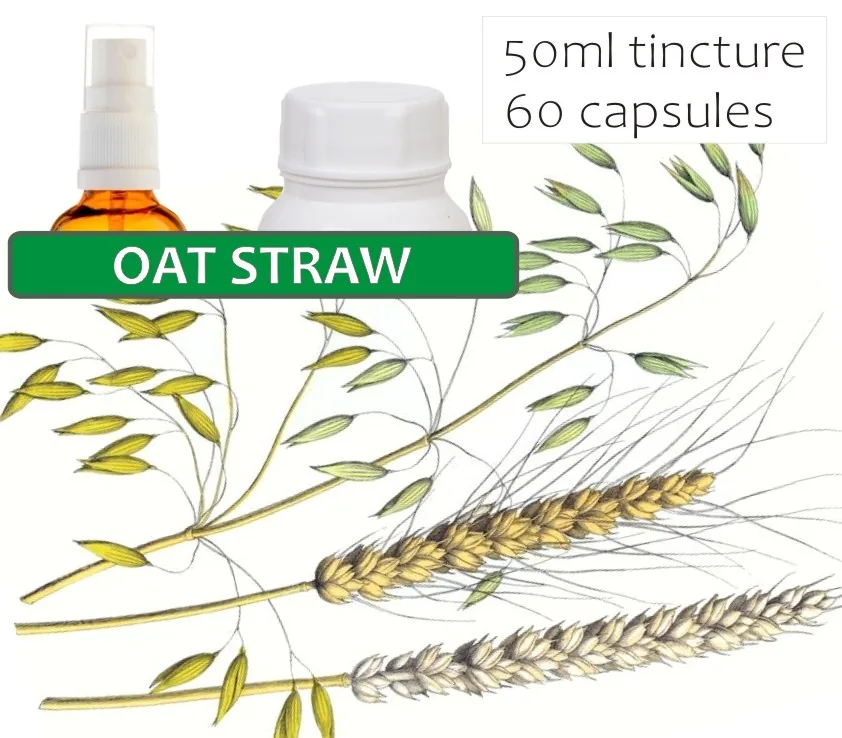 Oat Straw 60 capsules or 50ml tincture image 2