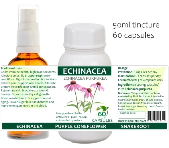 Echinacea 60 capsules or 50ml tincture — info graphic 1