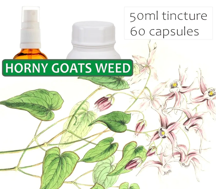 Horny Goatsweed 60 capsules or 50ml tincture — info graphic 1