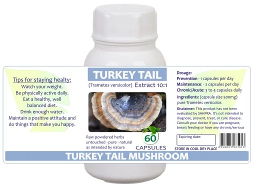 Turkey Tail Mushroom (extract 10:1) 60 capsules image 2
