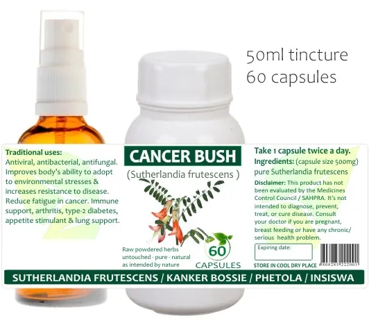 Cancer Bush 60 capsules or 50ml tincture — info graphic 1