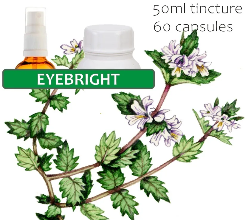 Eyebright 60 capsules or 50ml tincture — info graphic 1