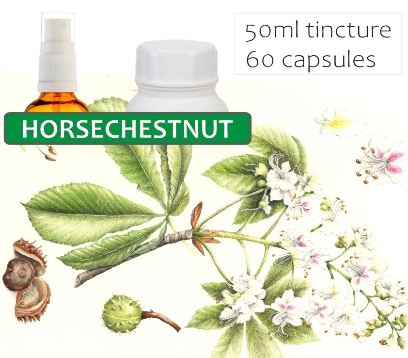 Horsechestnut 60 capsules or 50ml tincture image 2