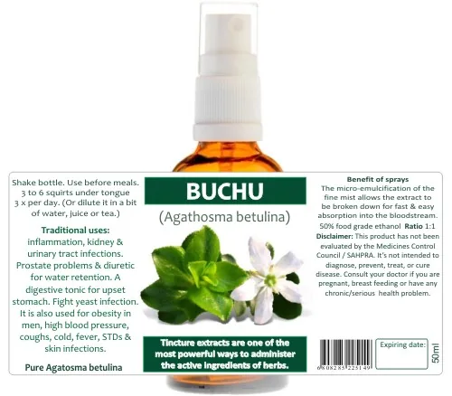 Buchu 60 capsules or 50ml tincture image 3