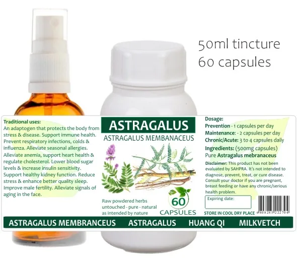 Astragalus 60 capsules or 50ml tincture — info graphic 1