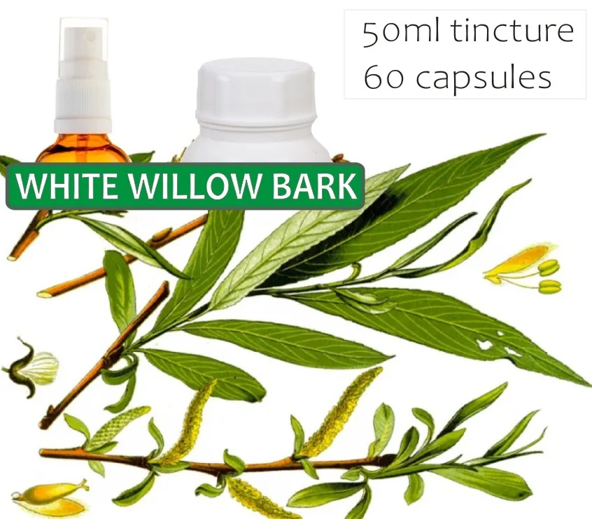 White Willow Bark 60 capsules or 50ml tincture — info graphic 1