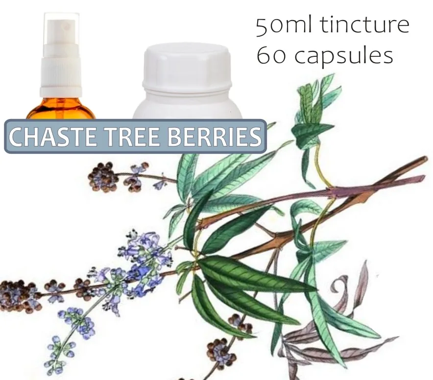 Chaste Tree (berries) 60 capsules or 50ml tincture — info graphic 1