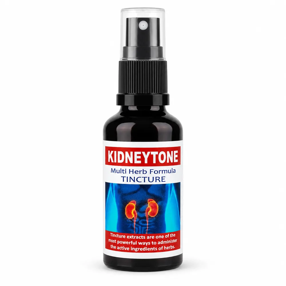 Kidneytone 50ml tincture or oxymel — info graphic 1