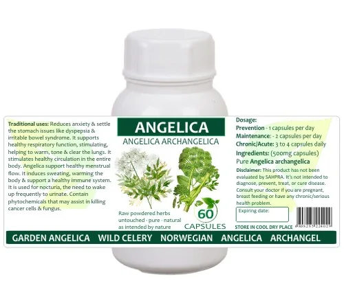 Angelica Root 60 capsules or 50ml tincture image 2