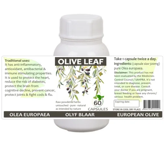 Olive Leaf 60 capsules or 50ml tincture — info graphic 1