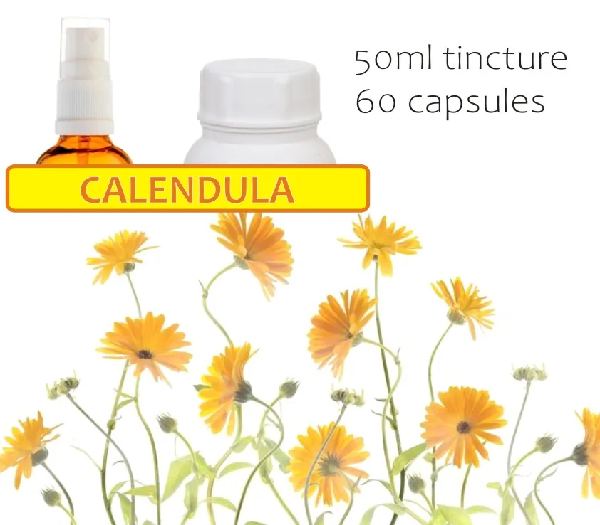 Calendula (marigold Flowers) 60 capsules or 50ml tincture image 2