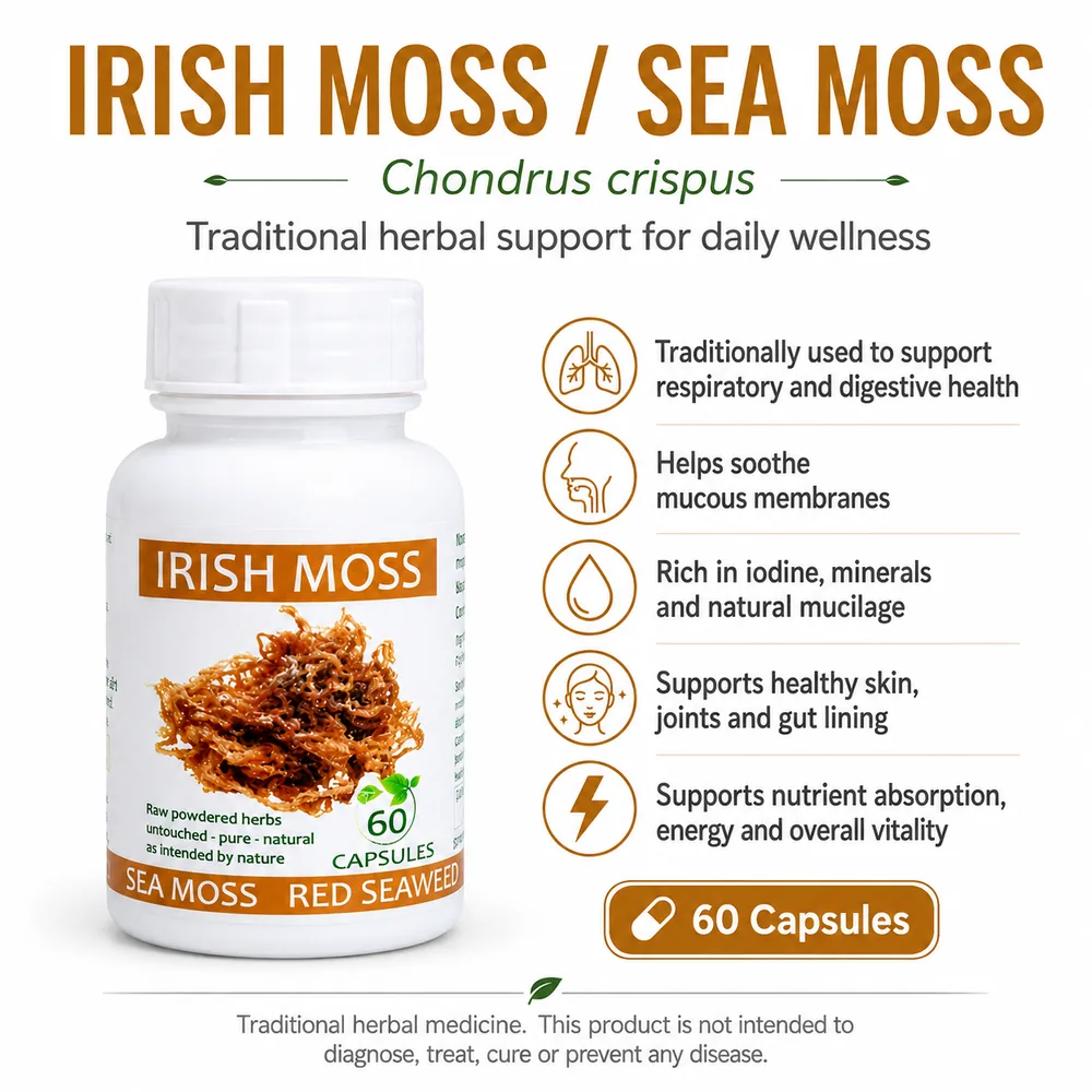 Irish Moss Sea Moss 60 capsules or 50ml tincture — info graphic 2