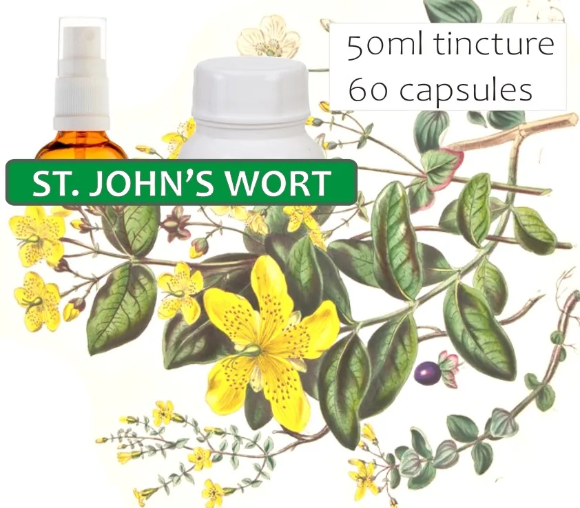 St. John's Wort image 2