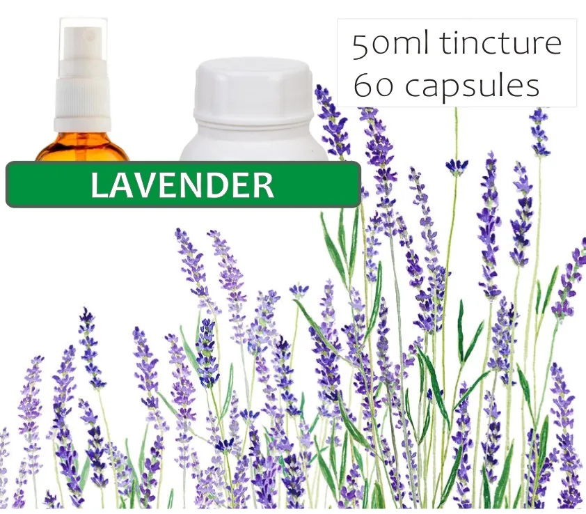 Lavender Blossoms 60 capsules or 50ml tincture image 3