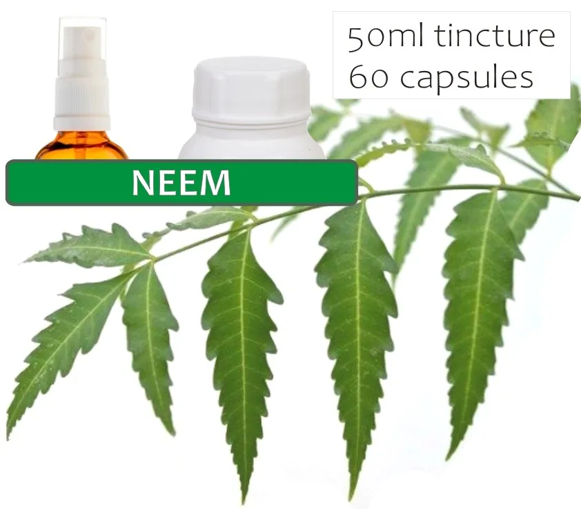 Neem 60 capsules or 50ml tincture image 2