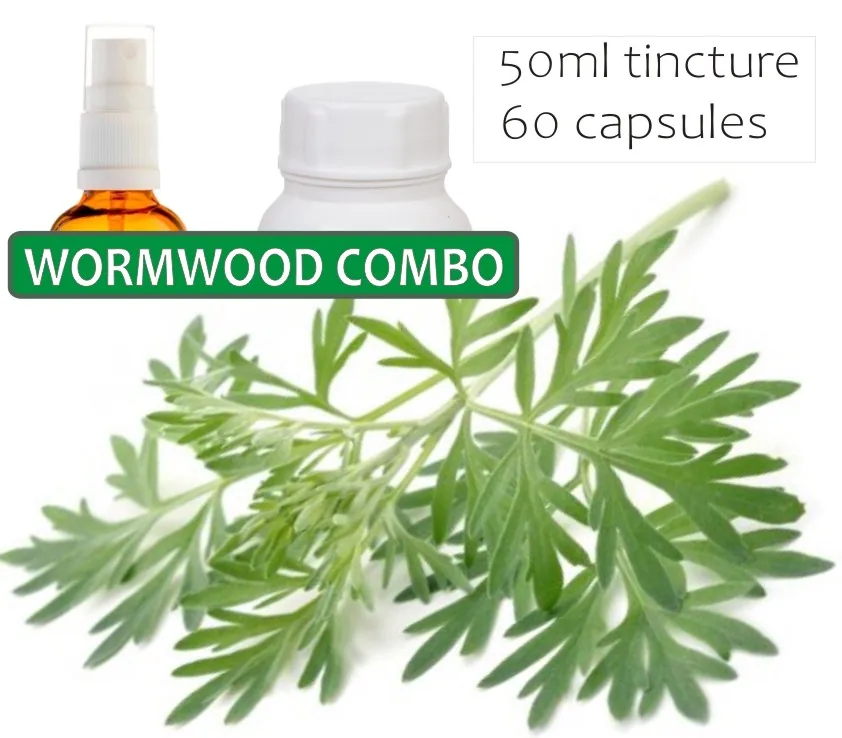 Wormwood Trio (afra, Annua, Absinthium) 60 capsules or 50ml tincture image 3