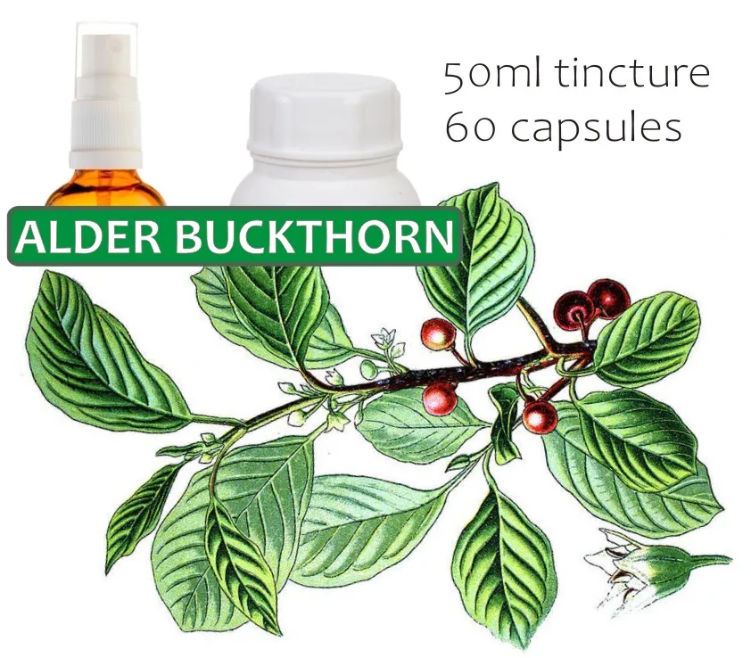Alder Buckthorn (frangula Bark) 60 capsules or 50ml tincture image 3
