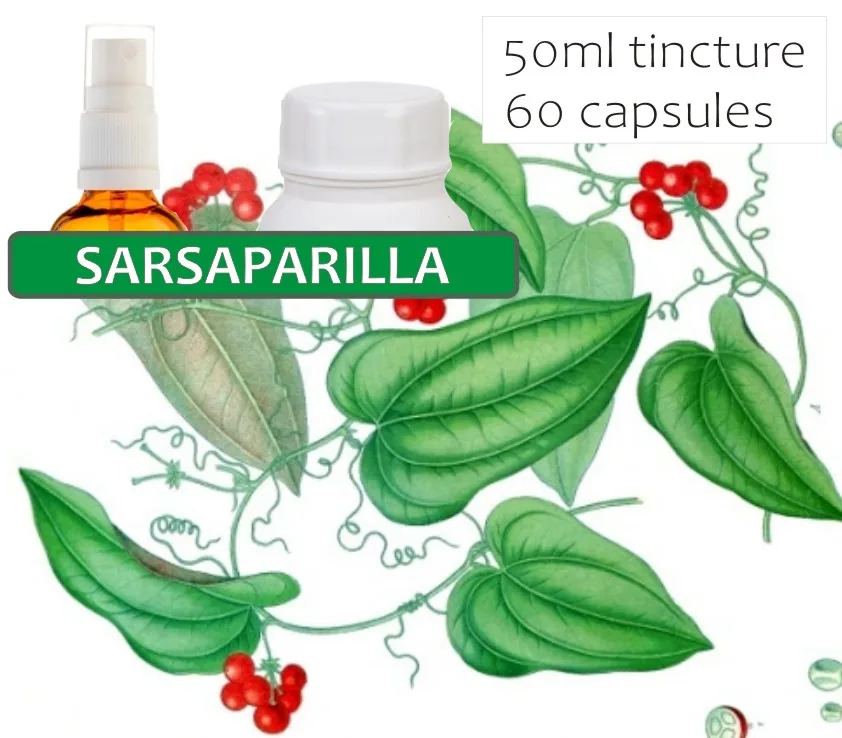 Sarsaparilla 60 capsules or 50ml tincture — info graphic 1