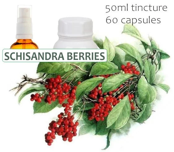 Schisandra Berries 60 capsules or 50ml tincture — info graphic 1