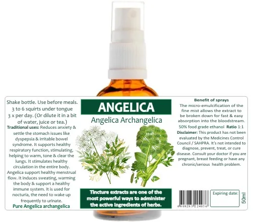 Angelica Root 60 capsules or 50ml tincture image 3
