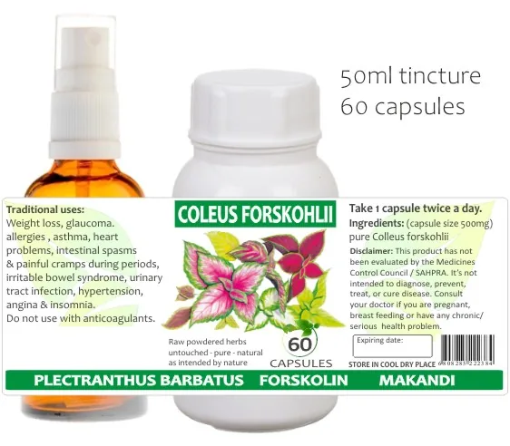 Coleus Forskohlii 60 capsules or 50ml tincture image 2