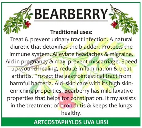 Bearberry 60 capsules or 50ml tincture — info graphic 3