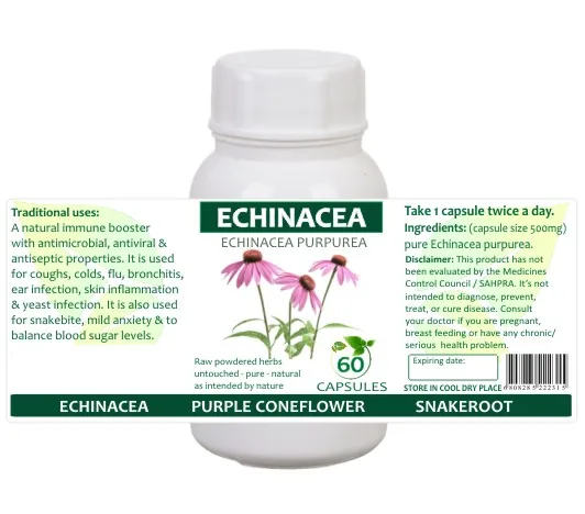 Echinacea 60 capsules or 50ml tincture — info graphic 2