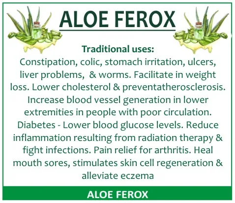 Aloe Ferox 60 capsules or 50ml tincture — info graphic 2
