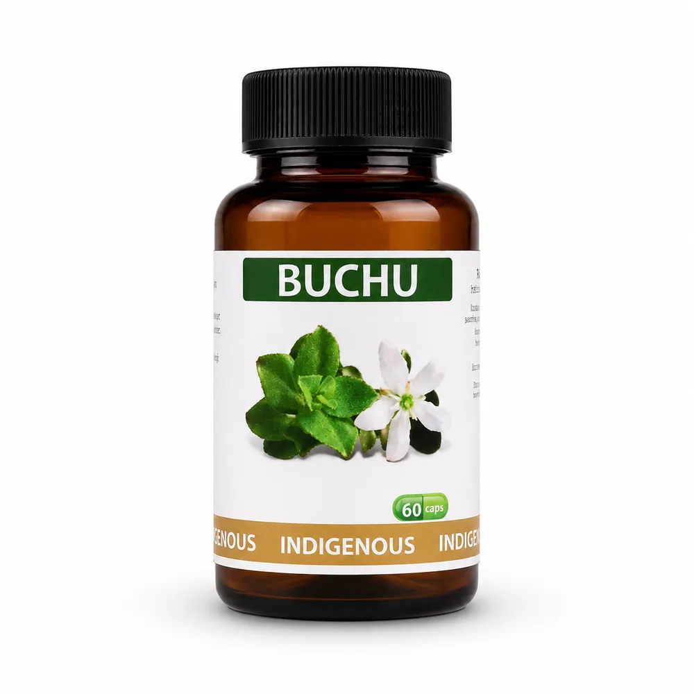 Buchu 60 capsules or 50ml tincture image 2