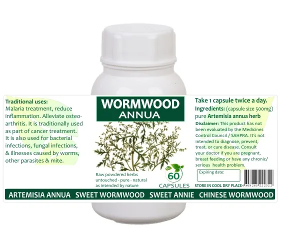 Wormwood Annua Sweet Annie 60 capsules or 50ml tincture image 2