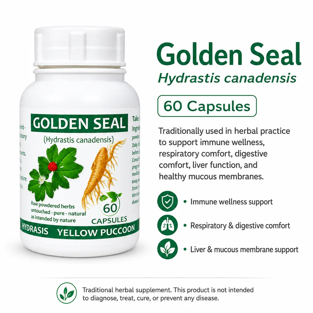 Golden Seal 60 capsules or 50ml tincture image 3