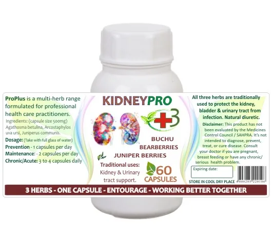 Kidneypro 60 caps image 2