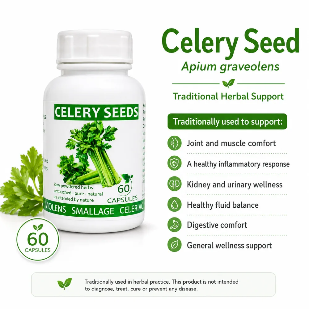 Celery Seed 60 capsules or 50ml tincture — info graphic 2