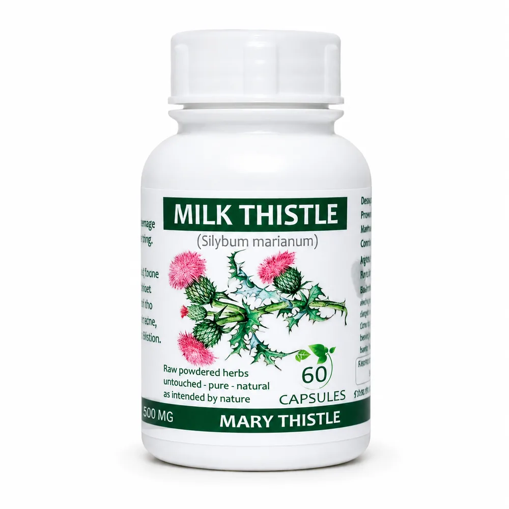 Milk Thistle 60 capsules or 50ml tincture — info graphic 1