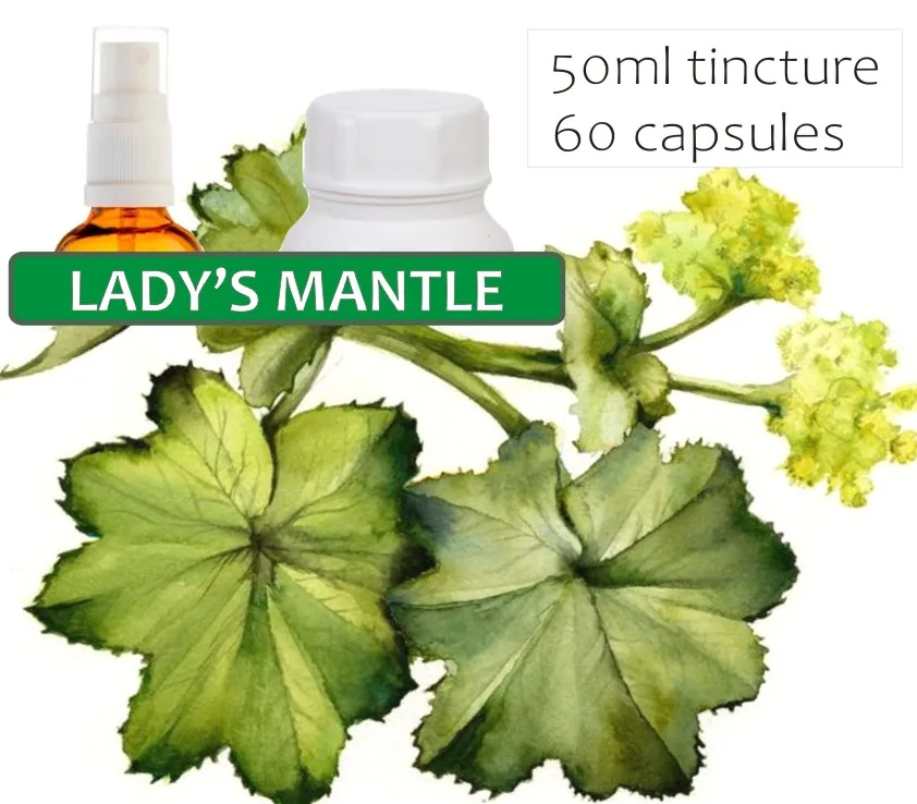 Lady's Mantle 60 capsules or 50ml tincture — info graphic 1