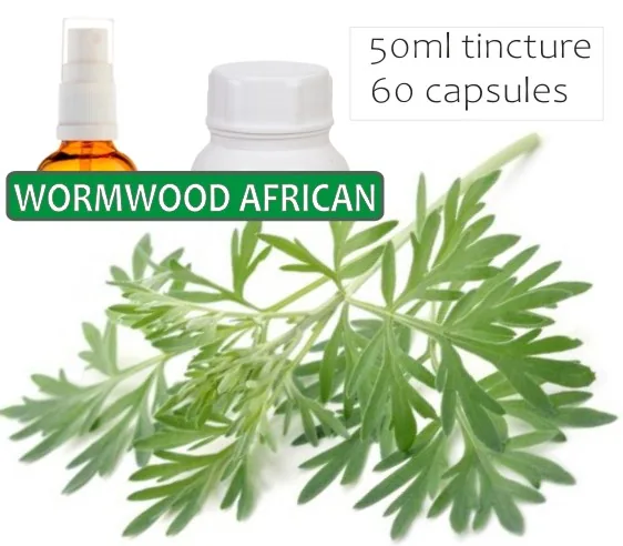 Wormwood African 60 capsules or 50ml tincture — info graphic 2
