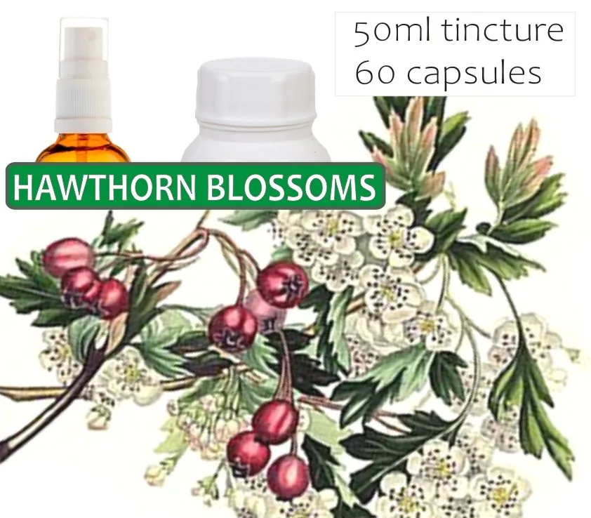 Hawthorn Blossoms 60 capsules or 50ml tincture