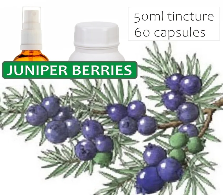 Juniper Berries 60 capsules or 50ml tincture