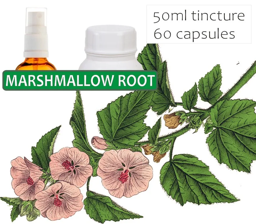 Marshmallow Root 60 capsules or 50ml tincture
