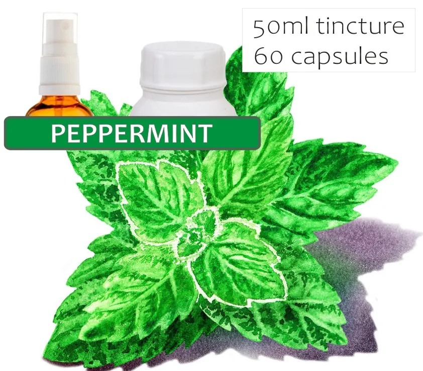 Peppermint 60 capsules or 50ml tincture