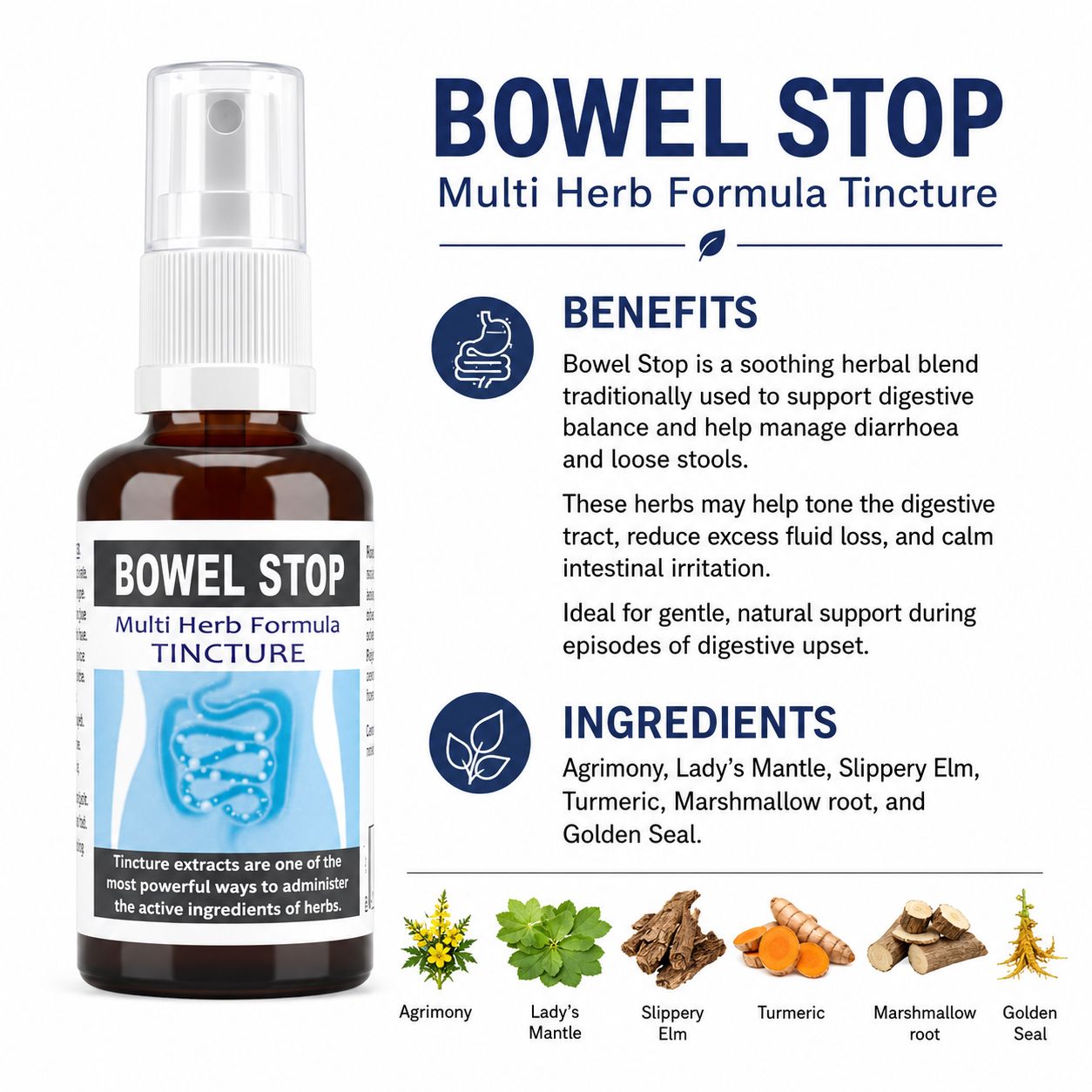 Bowel Stop 50ml tincture or oxymel image 4