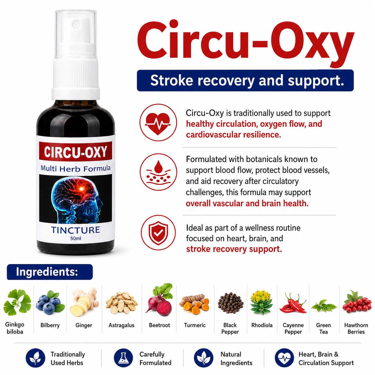 Circu Oxy 50ml tincture or oxymel — info graphic 2