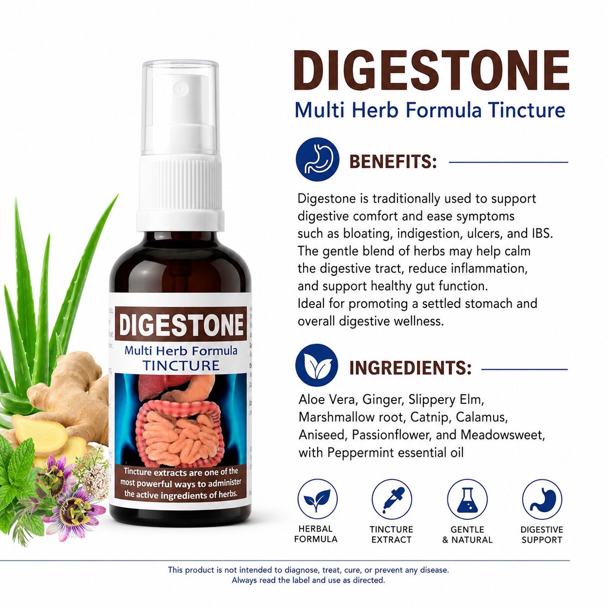 Digestone 50 ml tincture or oxymel — info graphic 3