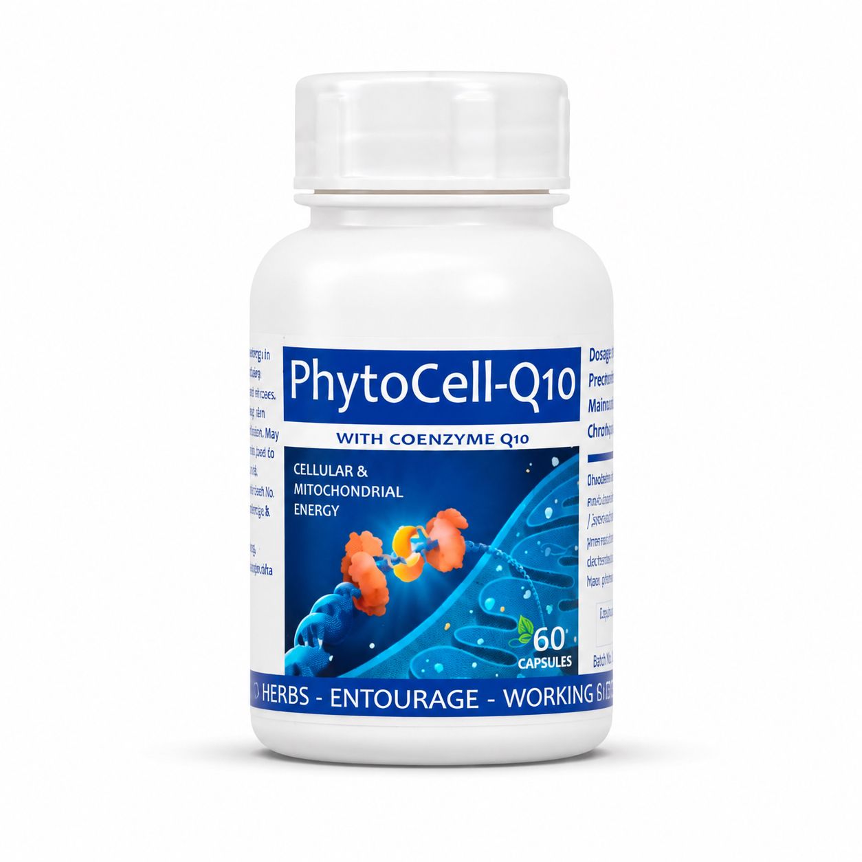 Phytocell Q10 60 capsules image 3